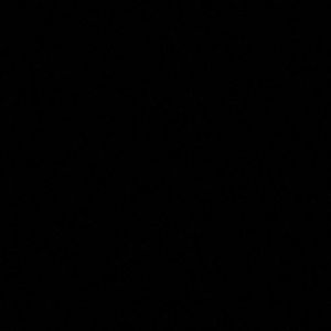 Meet your Posher, Alma